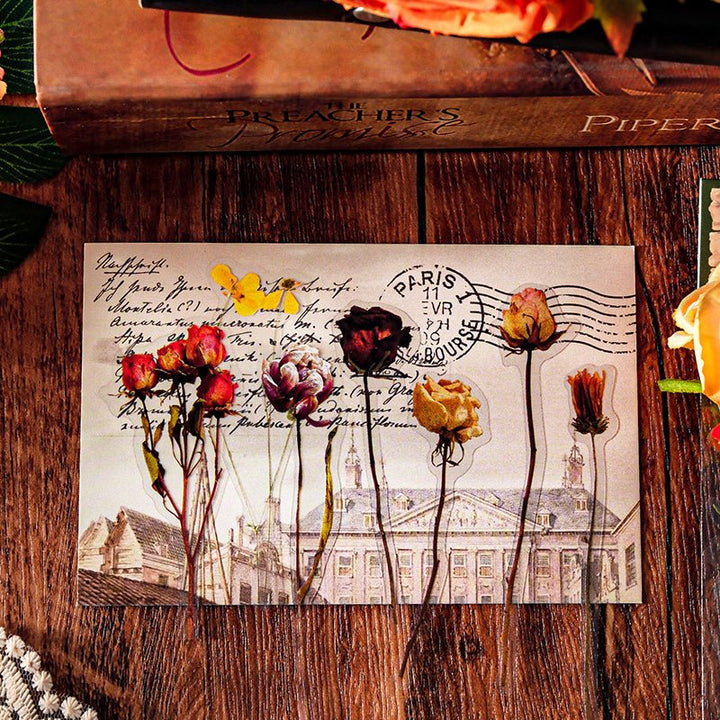 Linmist Echo Vintage PET Stickers Pack for Journaling